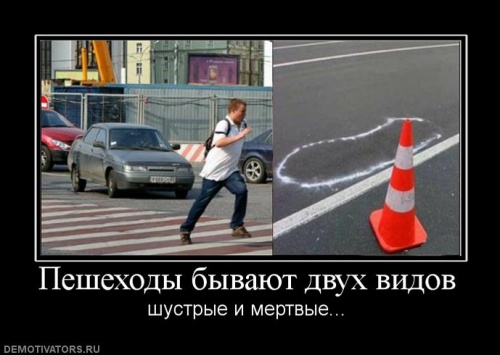 1354413154-0258001-www.nevsepic.com.ua.j