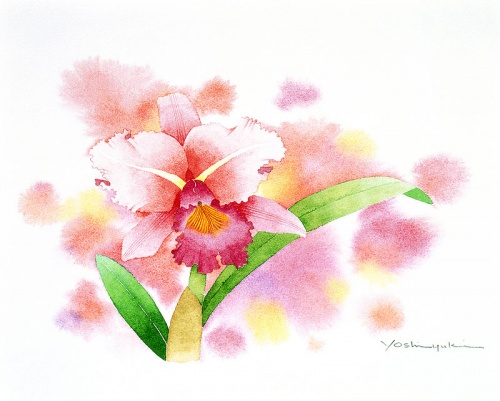 Японский художник Ibaragi Yoshiyuki (54 работ)