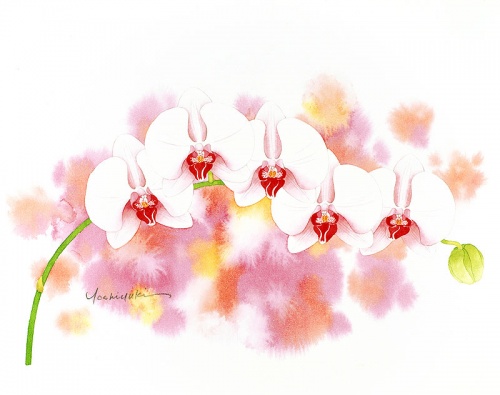 Японский художник Ibaragi Yoshiyuki (54 работ)