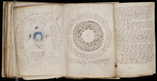 Voynich Manuscript (209 работ)