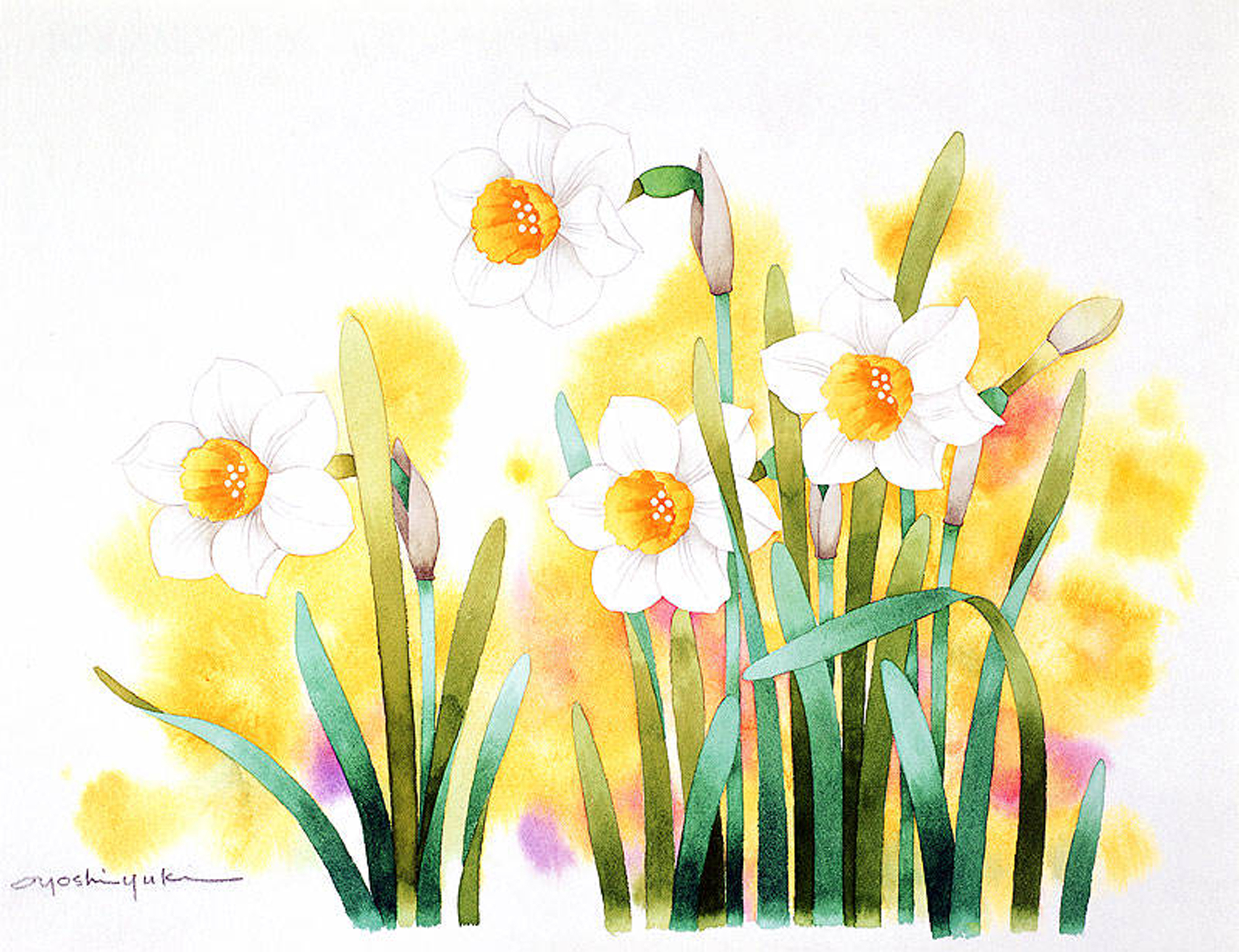 Цветы весны картинки для детей. Ибараги Йосиюки. Японские акварели Ибараги Йосиюки. Ибараги Йосиюки (Ibaragi Yoshiyuki). Ибараги Йосиюки акварель.