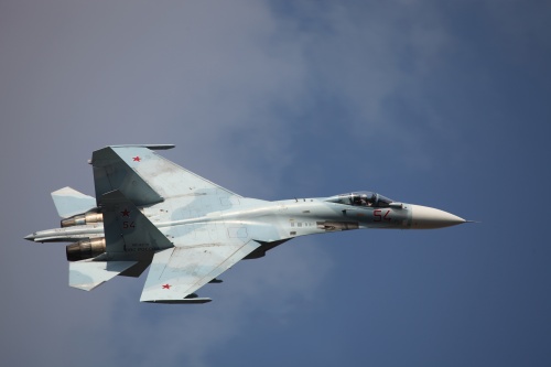 100 лет ВВС России (29 фото)