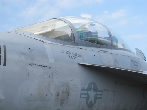 Американский палубный истребитель Boeing F-18F Super Hornet (98 фото)