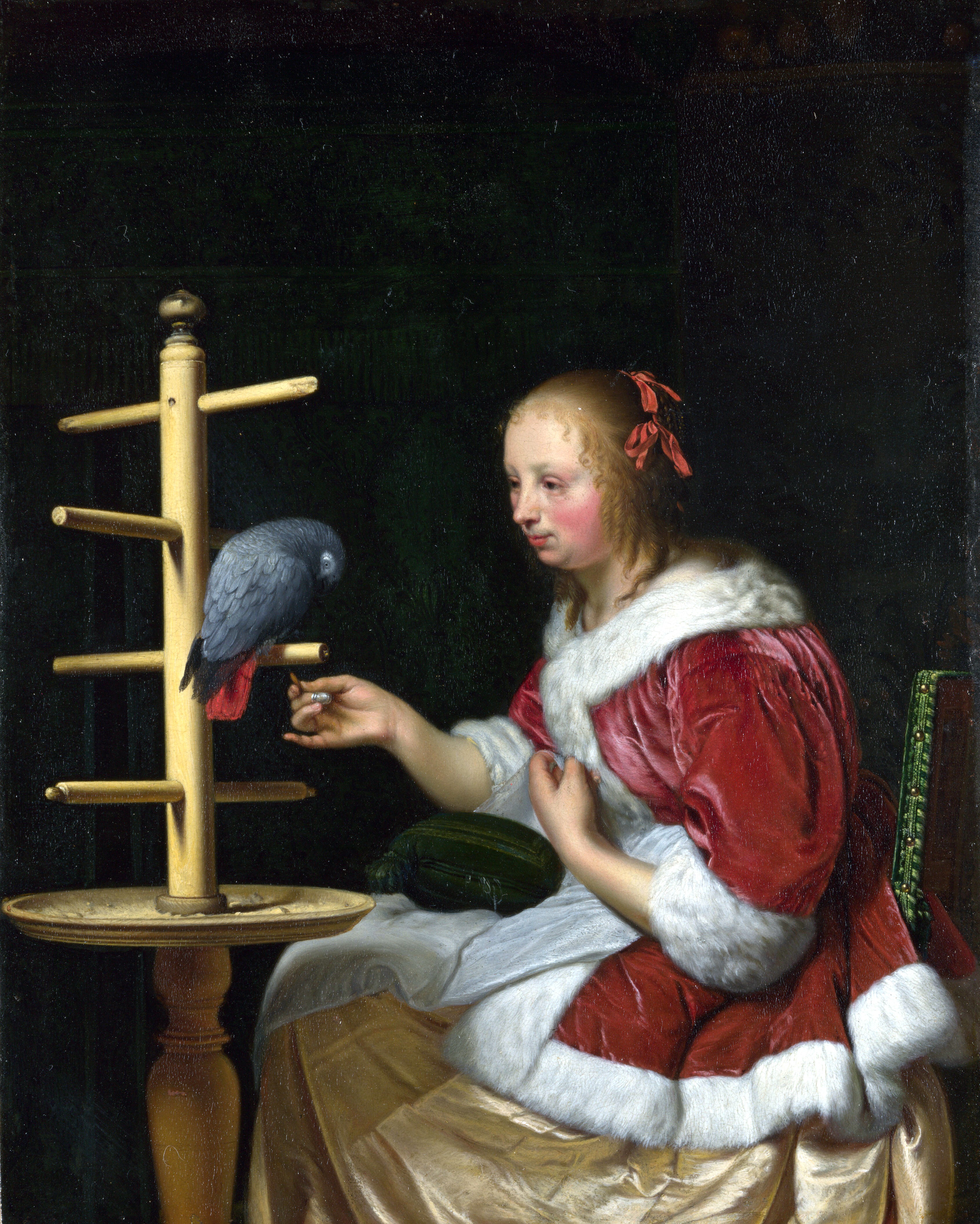 Дама с попугаем отзывы. Лейденская коллекция Франс Ван мирис старший. Франс Ван мирис картины.