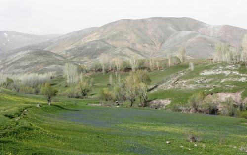 Фотографии - Страны мира Курдистан (629 фото) (1 часть)