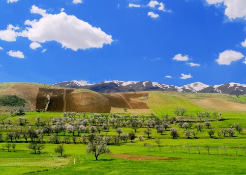 Фотографии - Страны мира Курдистан (1005 фото) (2 часть)
