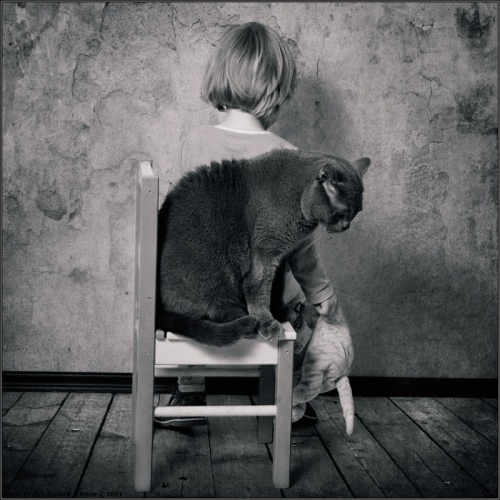 Фотосессия девочки и кота Тома, художник Andy Prokh (23 фото)