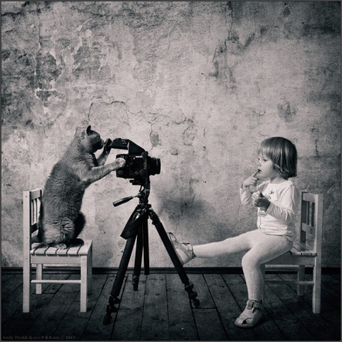 Фотосессия девочки и кота Тома, художник Andy Prokh (23 фото)