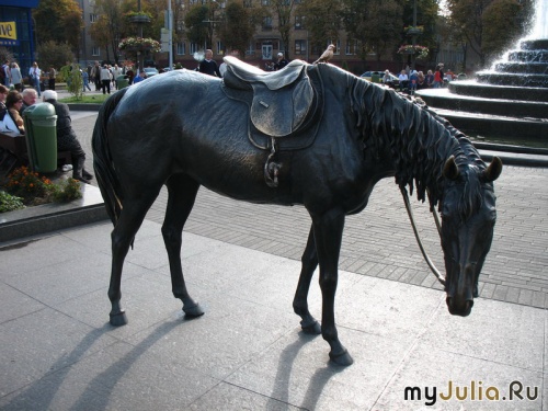 Памятник лошади (35 фото)