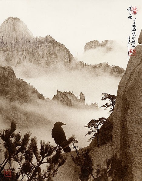 Культовый китайский фотограф Дон Хонг-Оай (41 работ)