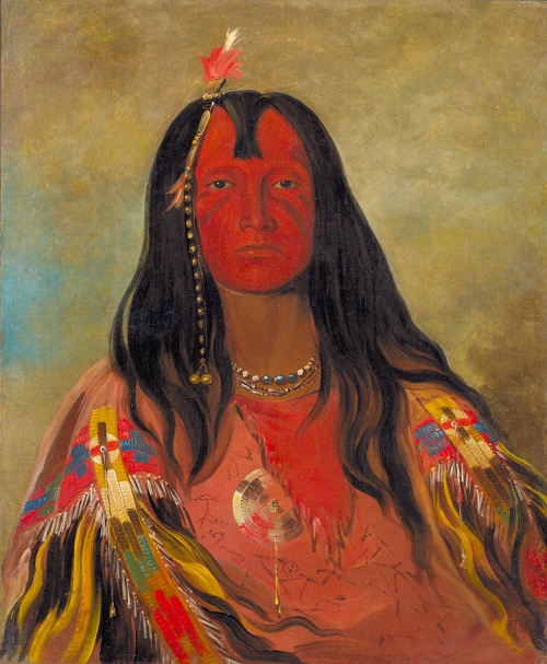 Индейцы северной части Америки.Дж.Кетлин.19 век. (470 работ)