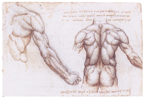 Великий Леонардо ч.2 (45 работ)