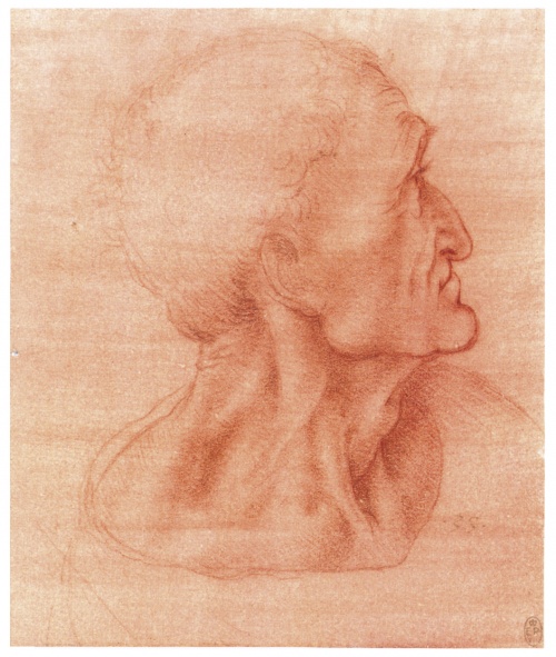 Великий Леонардо ч.2 (45 работ)