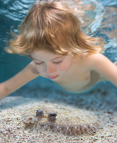 Дети под водой (31 фото)