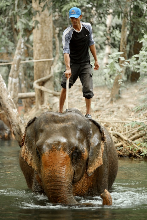 Thailand (70 фото)