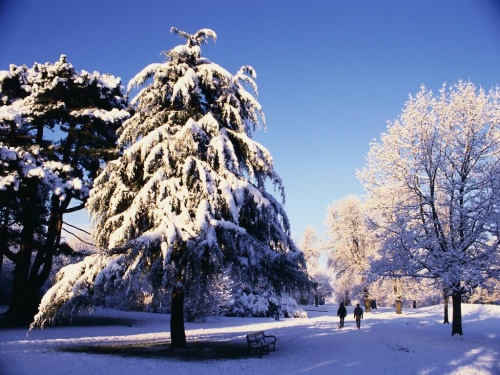 Подборка фотографий на тему "Зима"Подборка фотографий на тему "Зима" (40 фото)