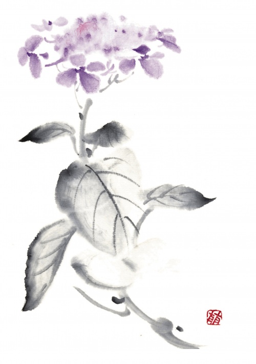 Японские акварели. Коллекция цветов от Рицуо Сугияма (45 работ) (1 часть)