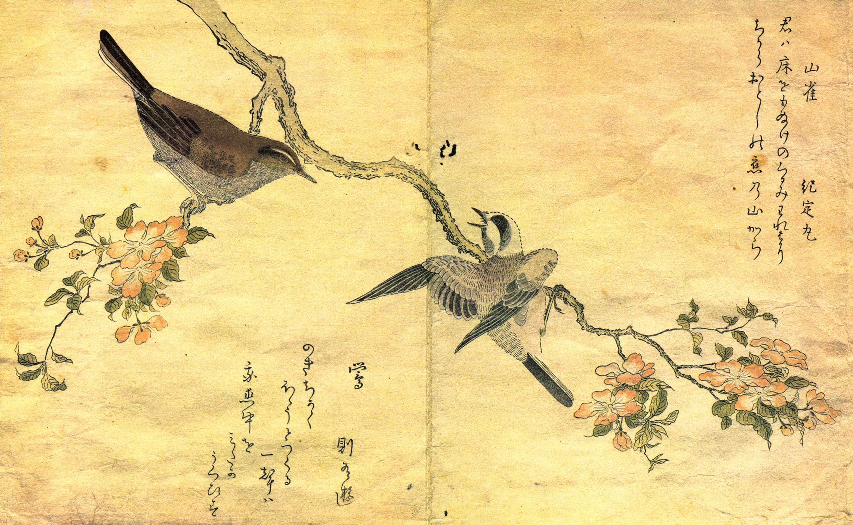16 птичек на китайском. Японский художник Китагава Утамаро. Живопись древнего Китая Хуа Няо. Утамаро художник картины. Японская хайку гравюра.