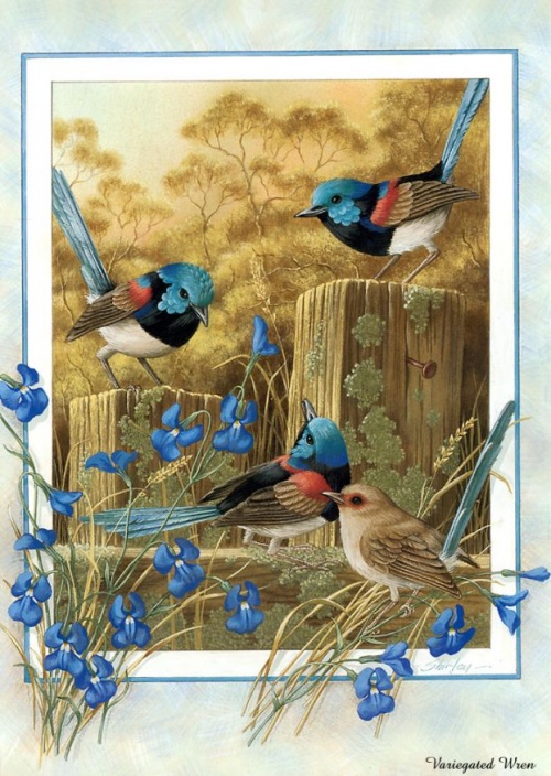 Картины Живой природы. Птицы (109 работ)