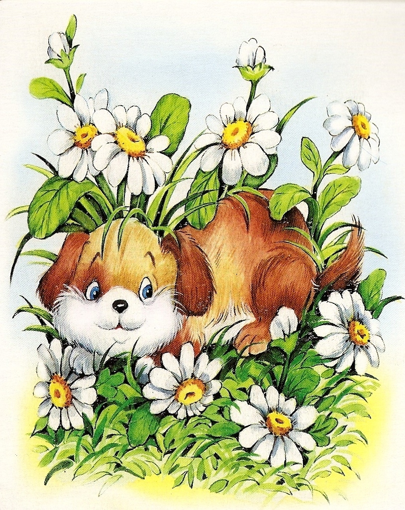 Детям открытки животных. Зверюшки с цветами. Зверюшка с цветочком. Детские иллюстрации. Милые зверюшки с цветами.