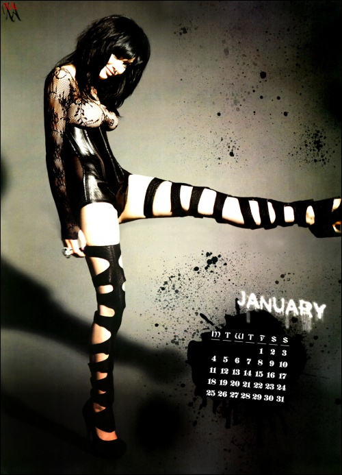 Оффициальный календарь Vikki Blows 2010 (14 фото) (эротика)