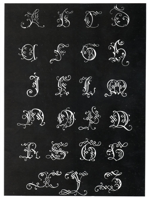 Ornamental Typography (31 работ)