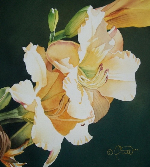 Цветы от Jacqueline Gnott (29 работ)