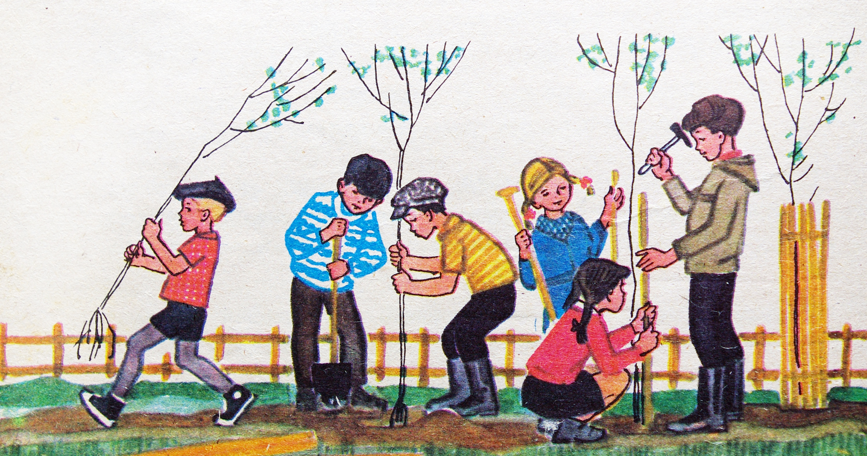 Рисунок посадка деревьев школьниками