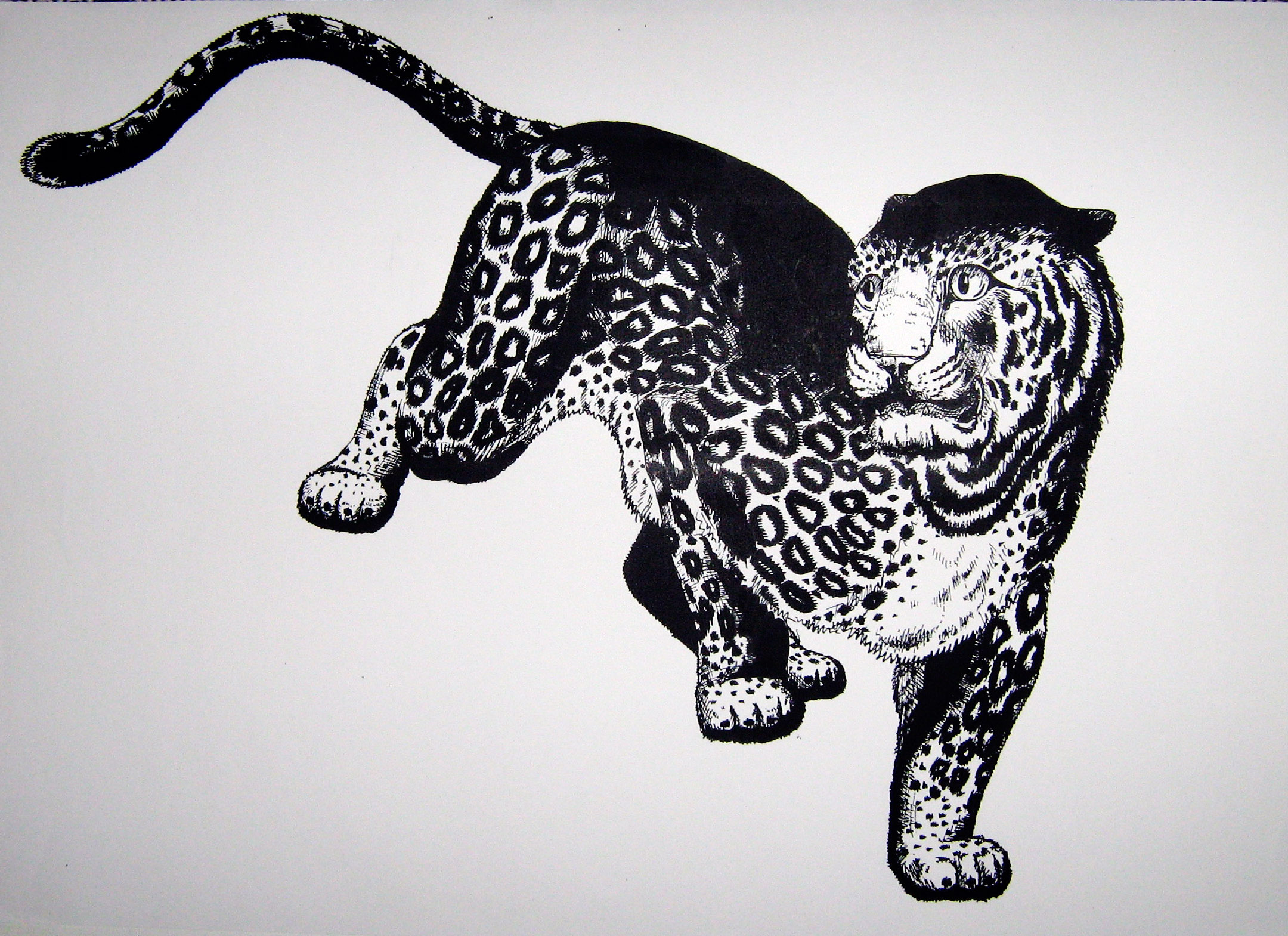 Животное графика рисунок. Расписной Ягуар Киплинг. Животные в графике. Графические рисунки животных. Леопард стилизация.