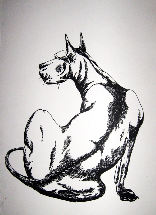Рисунки животных (21 работ)
