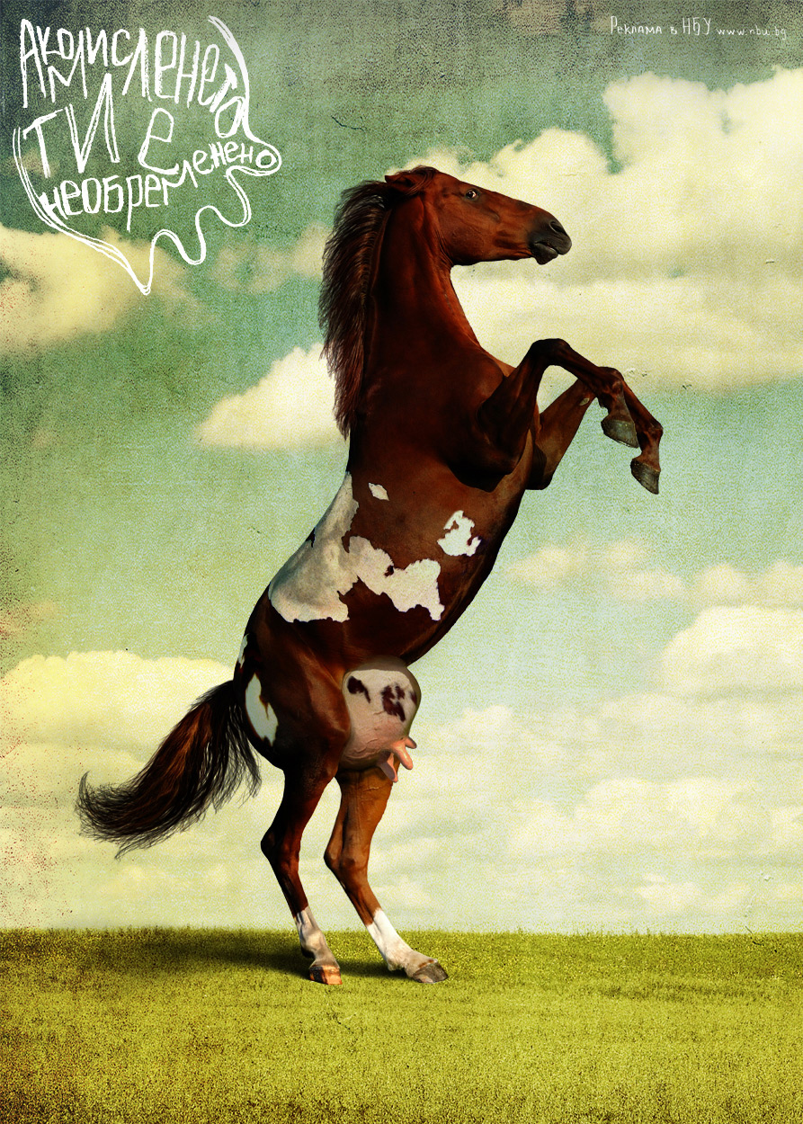 Реклама лошадок. Реклама с лошадью. О лошадке реклама. Лошадь играет. Жеребец реклама.