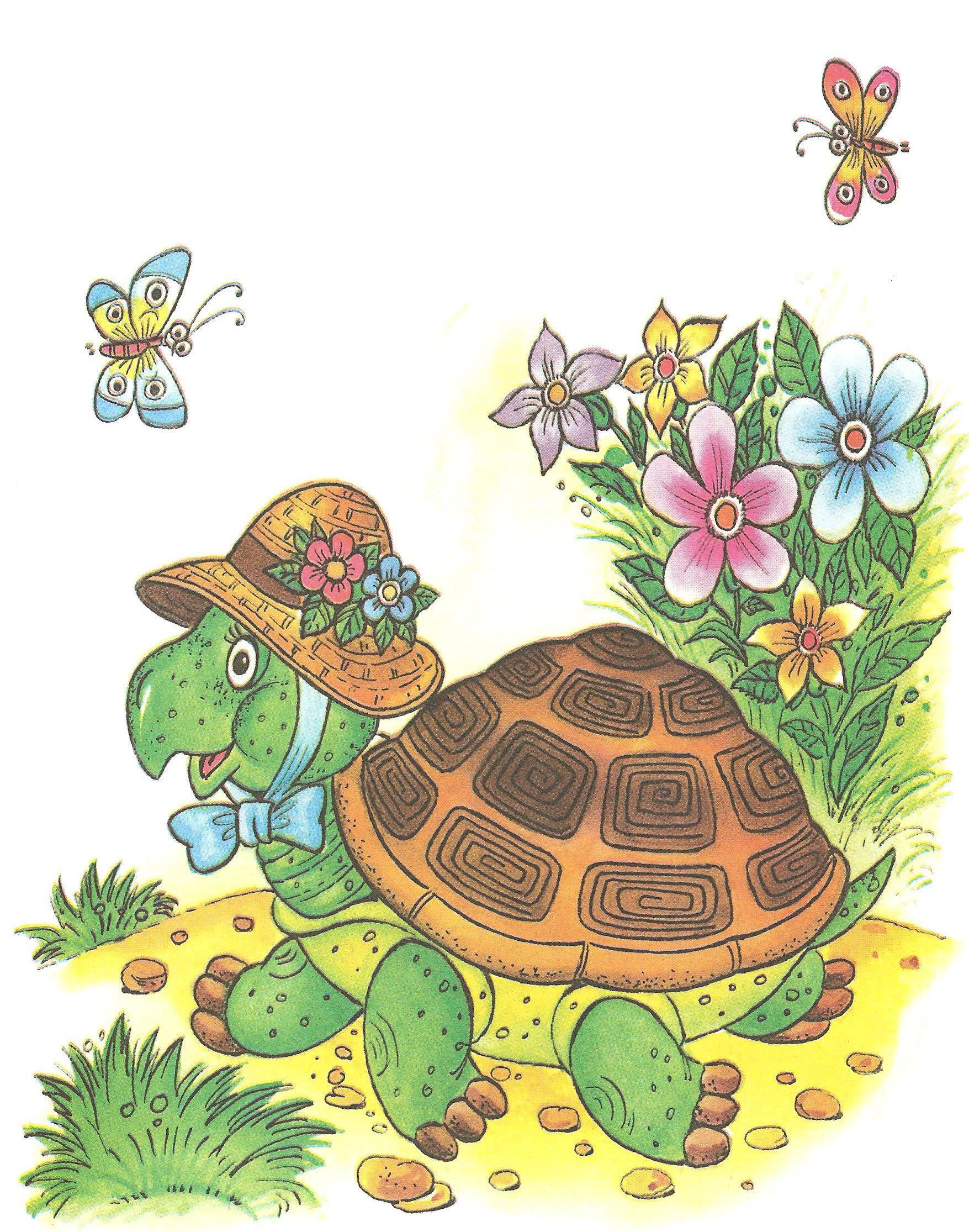Загадка про черепаху для детей