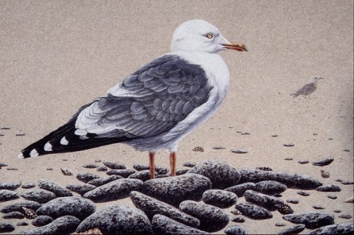 Рисованные изображения птиц (51 работ)