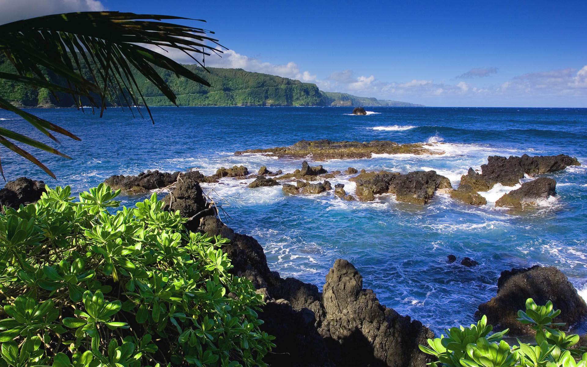 Экзотическая природа. Остров Мауи Гавайи. Морской заповедник Саут-Уотер-Кей,. Гавайи Ямайка. Остров Кауаи, Гавайские острова.