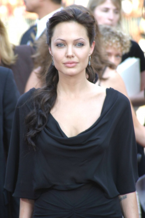 Анджелина Джоли Войт / Angelina Jolie Voight (346 фото) (7 часть)