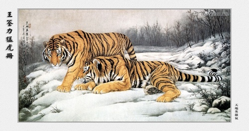Wang Quan Li - Tiger (15 работ)