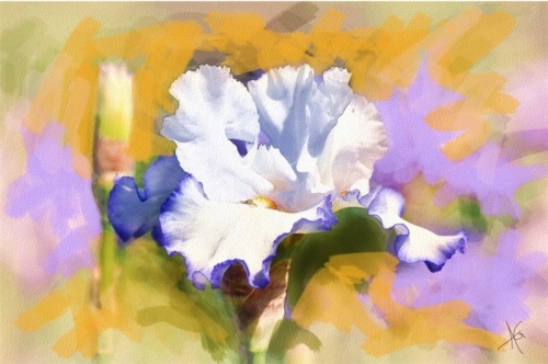 Цветы Alberto Guillen (45 работ)