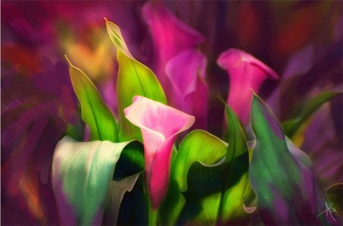 Цветы Alberto Guillen (45 работ)