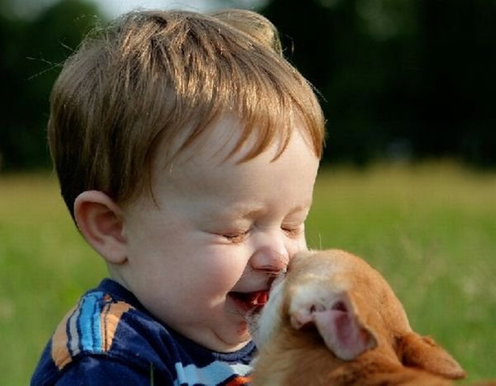 Улыбки детей и животных