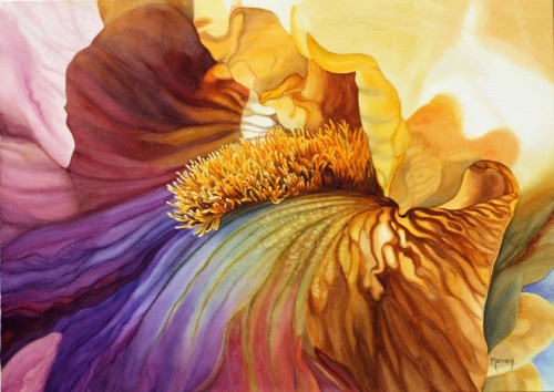 Цветочные акварели от Marney Ward (47 работ)