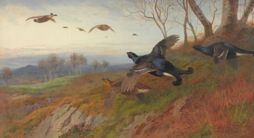 Archibald Thorburn (1860 - 1935) (130 работ)