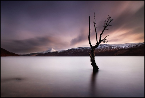 30 magical examples of tree photography (30 фото)