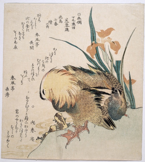 Kubo Shunman (Japanese, 1757–1820) (160 работ)