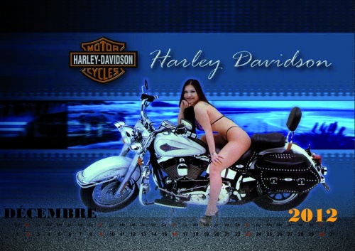 Calendar Harley-Davidson 2012 (14 фото)