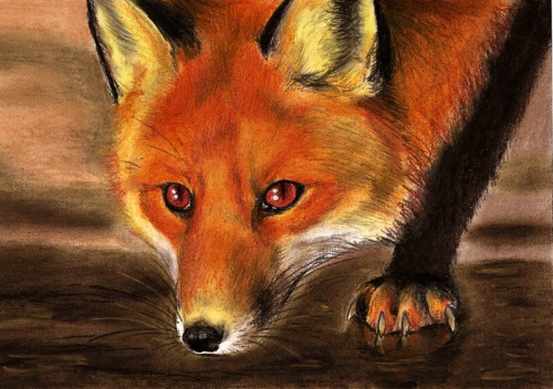 Фурри-художница Culpeo-Fox (673 работ)