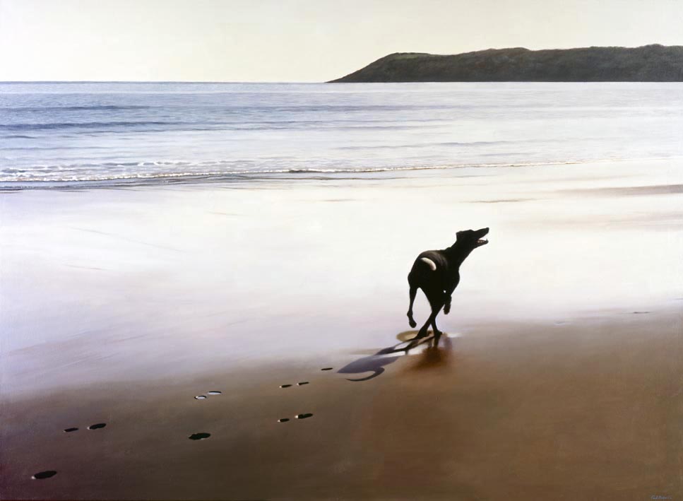 Paul roberts. Paul Roberts художник. Собака на пляже. Собака на пляже с тенью. Собачка на пляже фото.