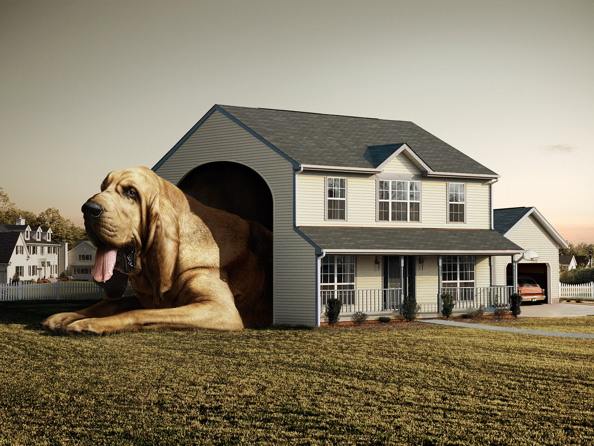 Обитатель дома 6. Дом для собаки. Креативный дом. Собака охраняет дом. Красивый дом для собаки.