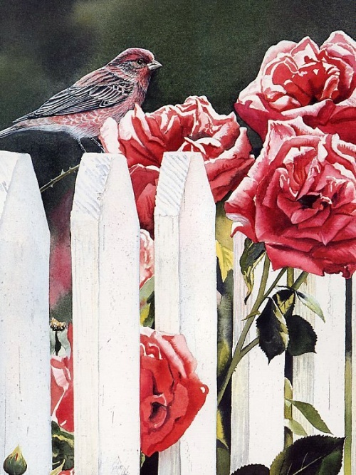 Susan Bourdet "Птицы в природном интерьере" (37 работ)