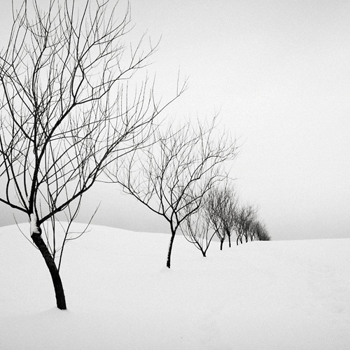 Черно Белый Мир от Mike Rosulek (81 фото)