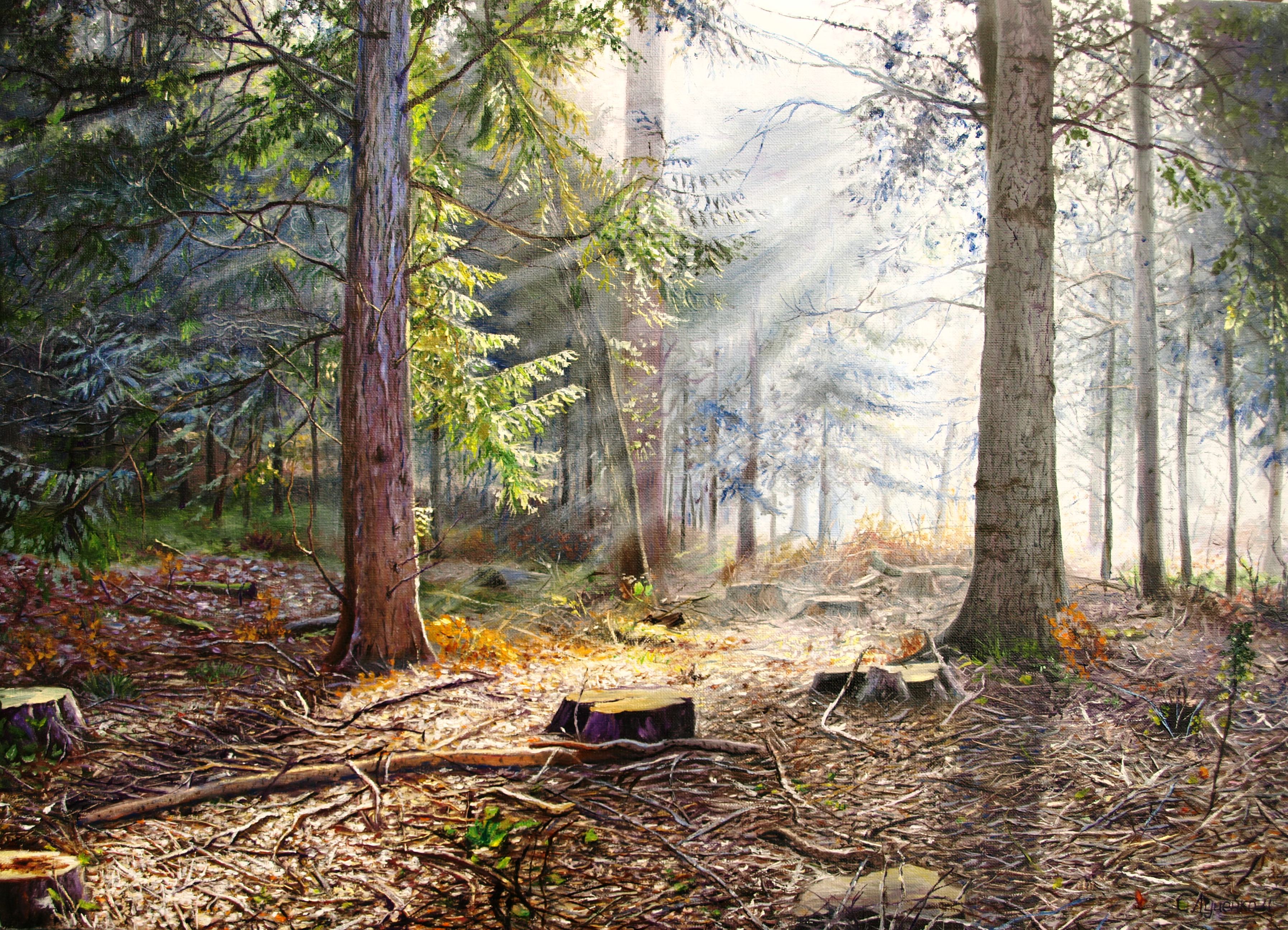 Кругом была глушь. Утро в Сосновом лесу, Шишкин, 1889. Картина лес. Сосновый лес в живописи.